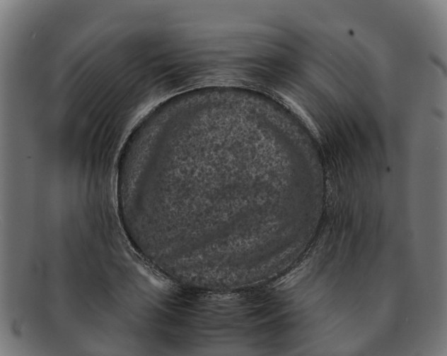 X0000091651035200709131446