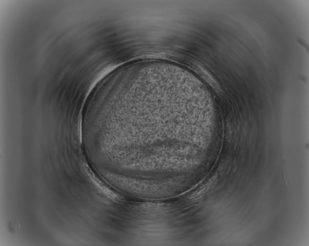 X0000091651036200709131446