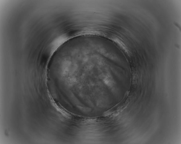 X0000091651038200709131446