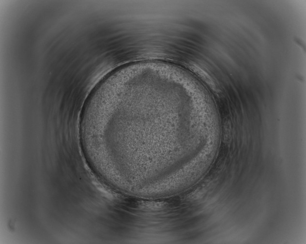 X0000091651039200709131446