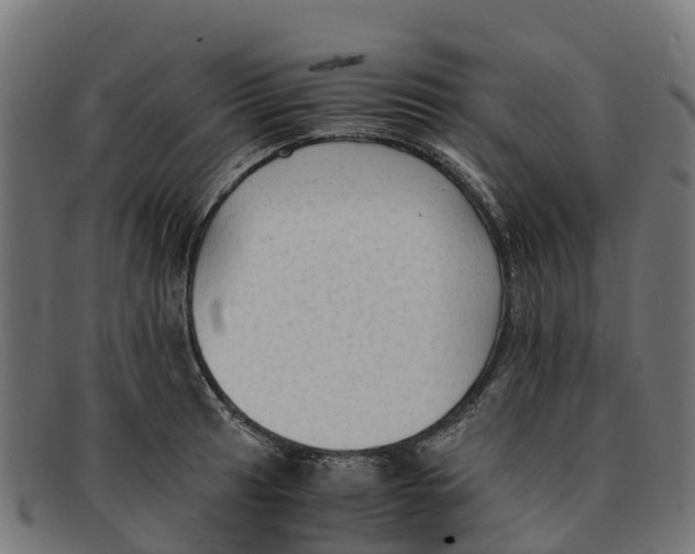 X0000091651041200709131446