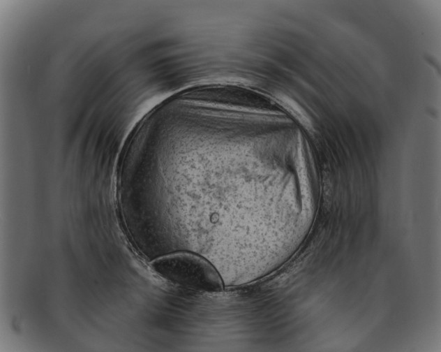 X0000091651044200709131446