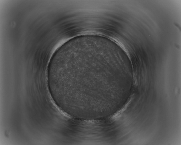 X0000091651045200709131446