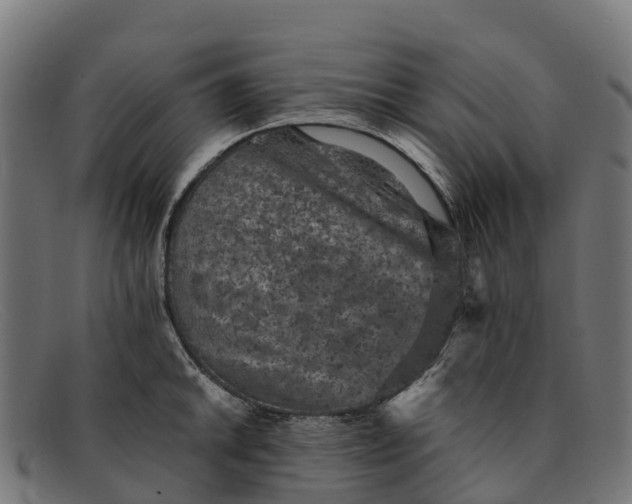 X0000091651046200709131446