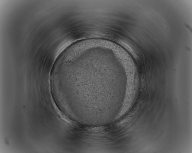 X0000091651047200709131446