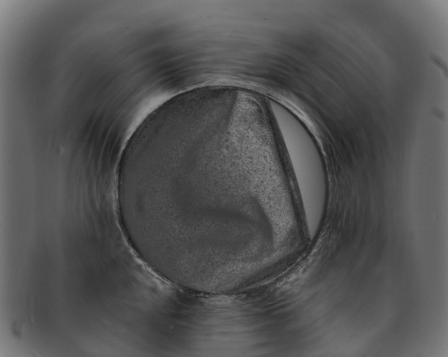 X0000091651048200709131446