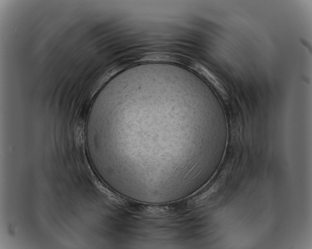 X0000091651049200709131446