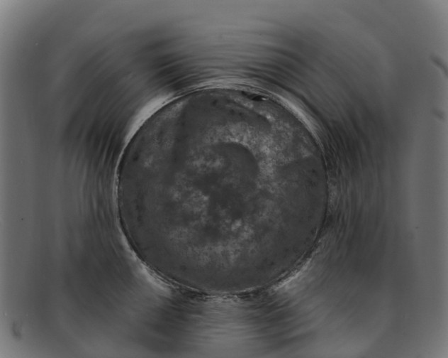 X0000091651050200709131446