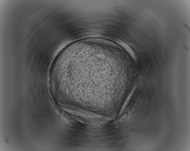 X0000091651051200709131446