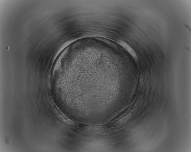 X0000091651052200709131446