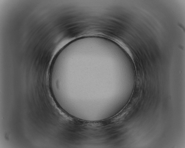 X0000091651053200709131446