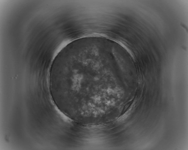 X0000091651054200709131446