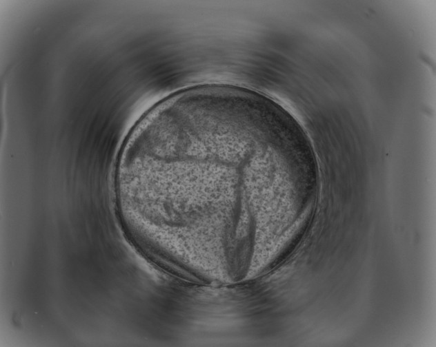 X0000091651056200709131446