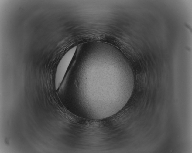 X0000091651058200709131446