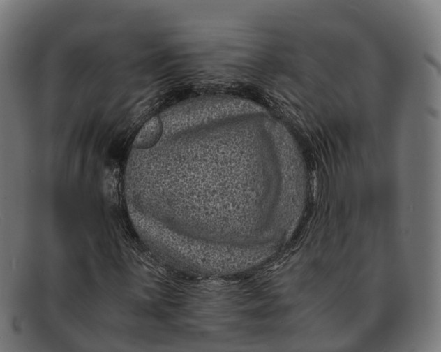 X0000091651059200709131446