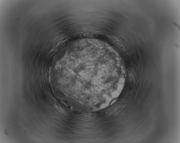 X0000091651060200709131446