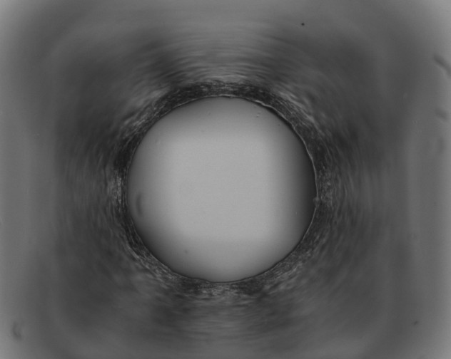 X0000091651061200709131446