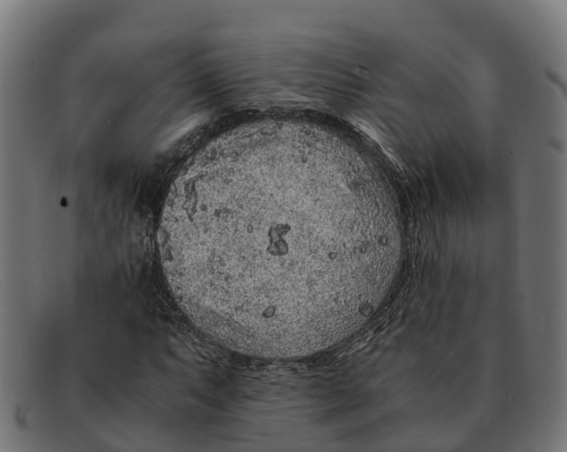 X0000091651063200709131446