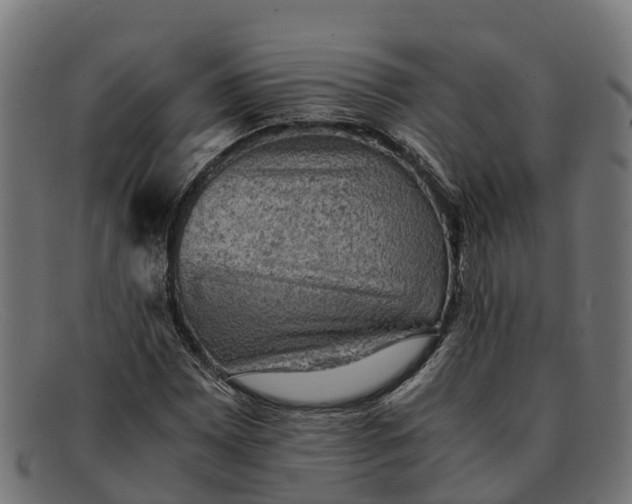 X0000091651065200709131446