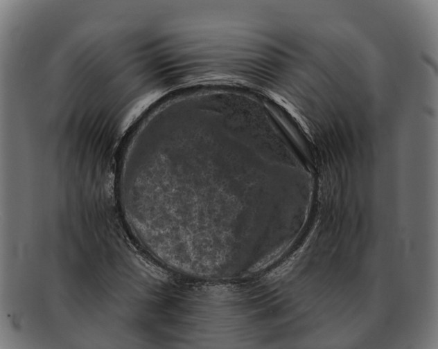 X0000091651066200709131446