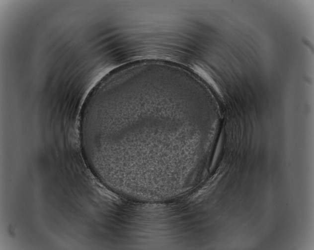 X0000091651068200709131445