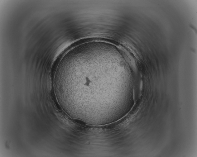 X0000091651069200709131445