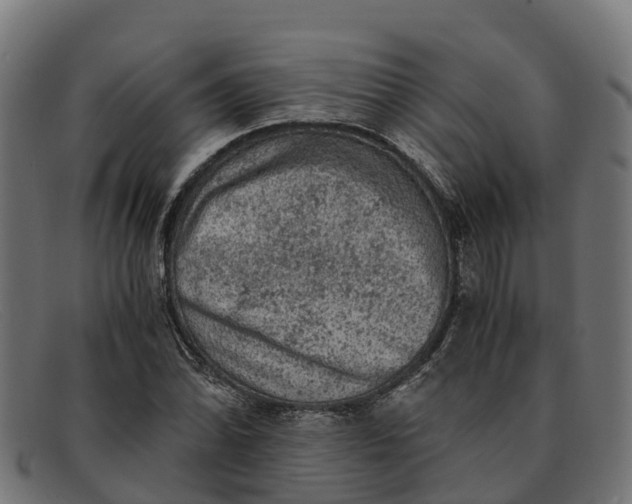 X0000091651070200709131445