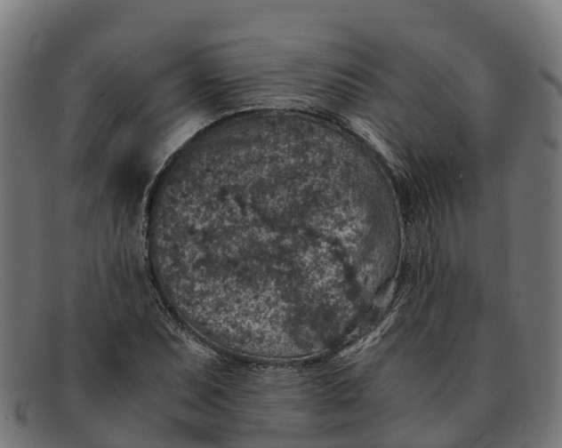 X0000091651071200709131445