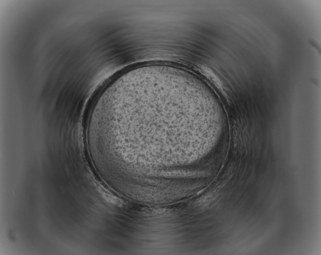 X0000091651072200709131445