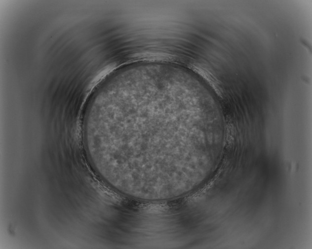 X0000091651074200709131445