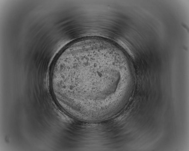 X0000091651076200709131445