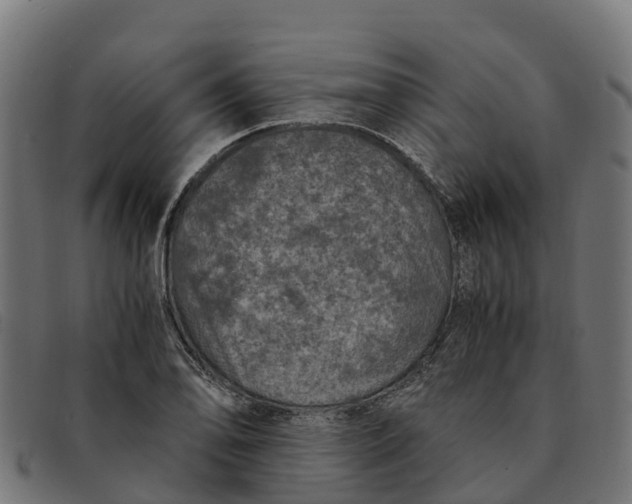 X0000091651078200709131445