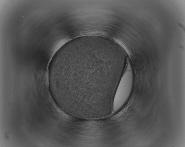 X0000091651079200709131445