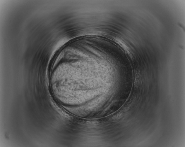 X0000091651080200709131445