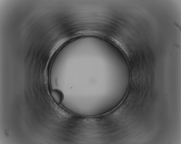 X0000091651082200709131445