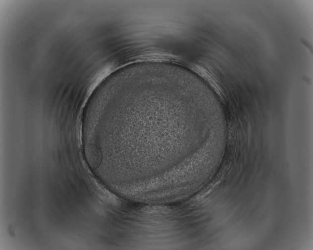 X0000091651083200709131445