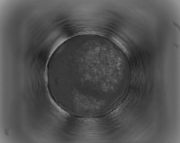 X0000091651084200709131445