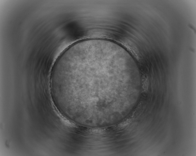 X0000091651086200709131445