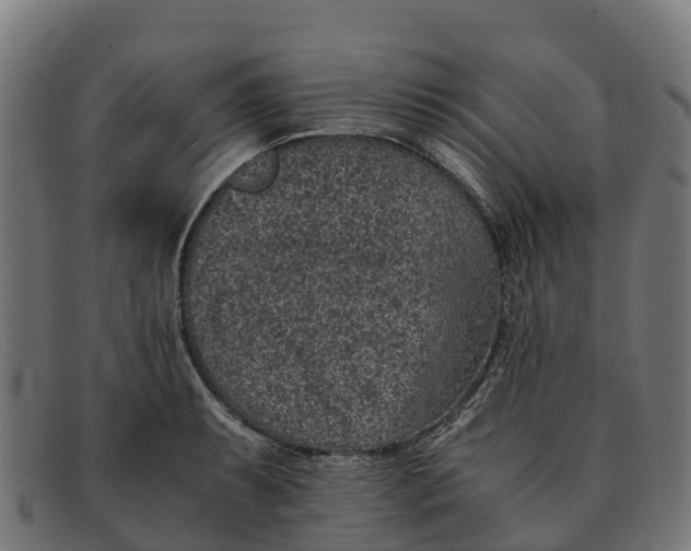 X0000091651087200709131445