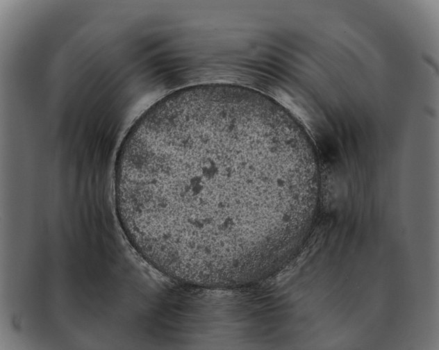 X0000091651088200709131445