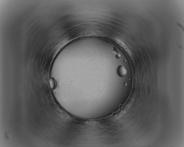 X0000091651089200709131445