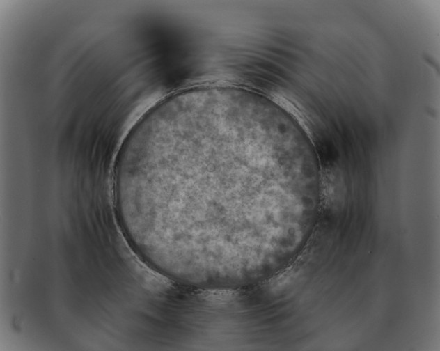 X0000091651090200709131445