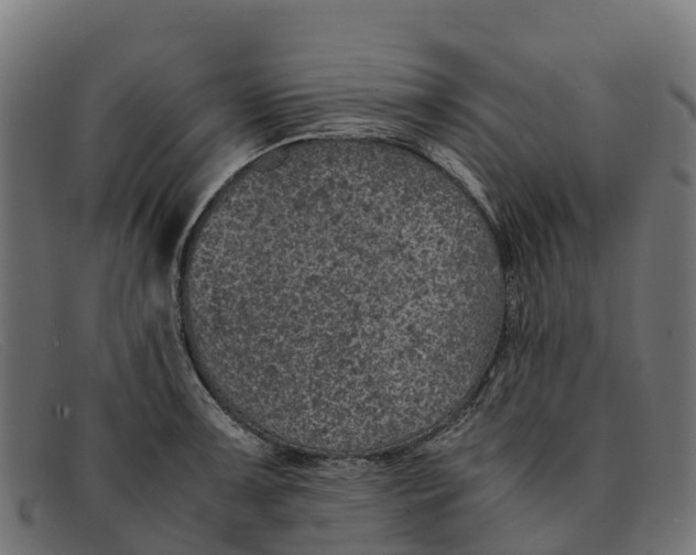 X0000091651091200709131445