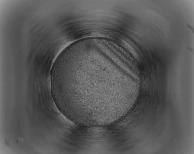 X0000091651092200709131445