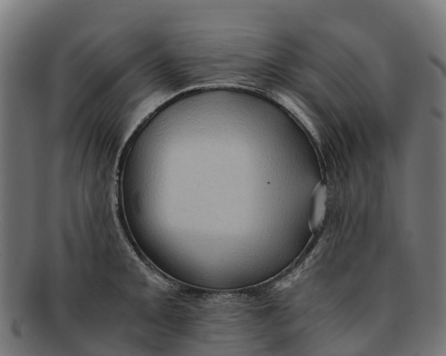 X0000091651093200709131445