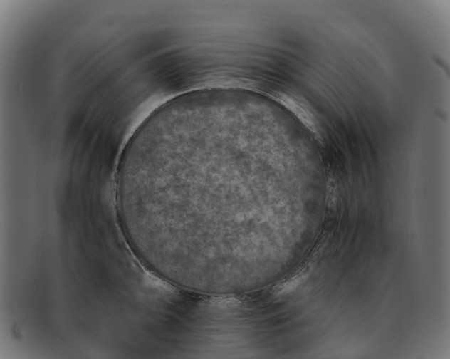 X0000091651094200709131445