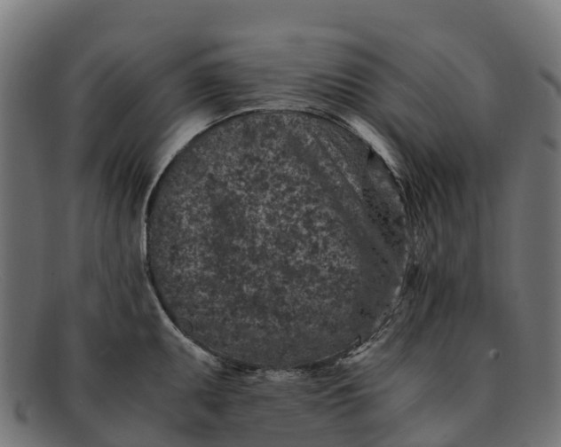 X0000091651095200709131445