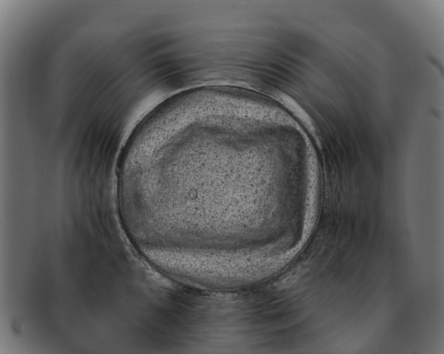 X0000091651096200709131445