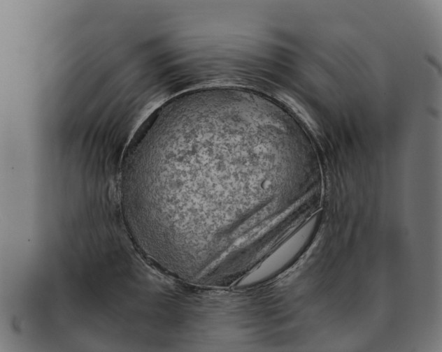 X0000091651097200709131445