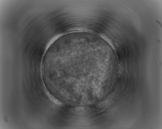 X0000091651098200709131445